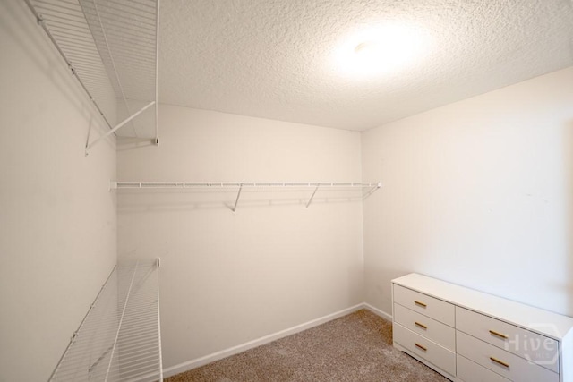 24 Daylily Ct, Hinesville, GA 31313 - spacious closet with light carpet