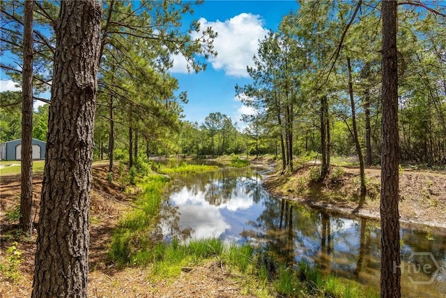 water view with a heavily wooded area