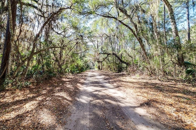 view of street with a view of trees