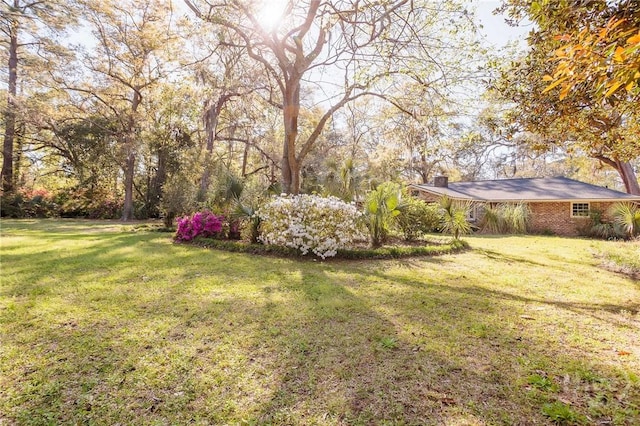 2 S Millward Rd, Savannah, GA 31410 - view of green lawn