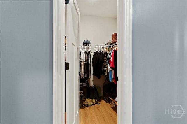 walk in closet featuring wood finished floors