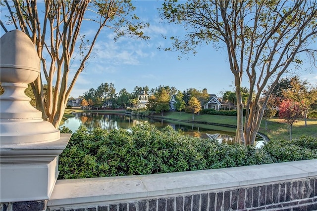 137 Harvest Hl, Pooler, GA 31322 - water view