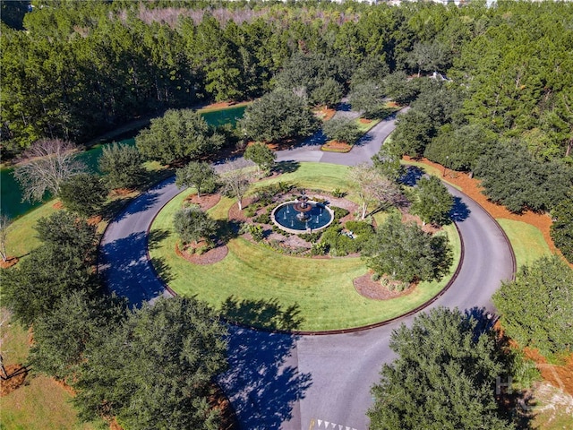137 Harvest Hl, Pooler, GA 31322 - bird's eye view of a forest