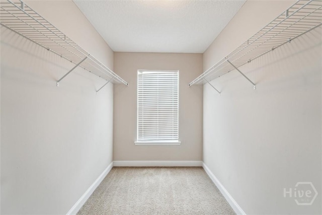 1107 Creekside Cir, Hinesville, GA 31313 - walk in closet featuring carpet