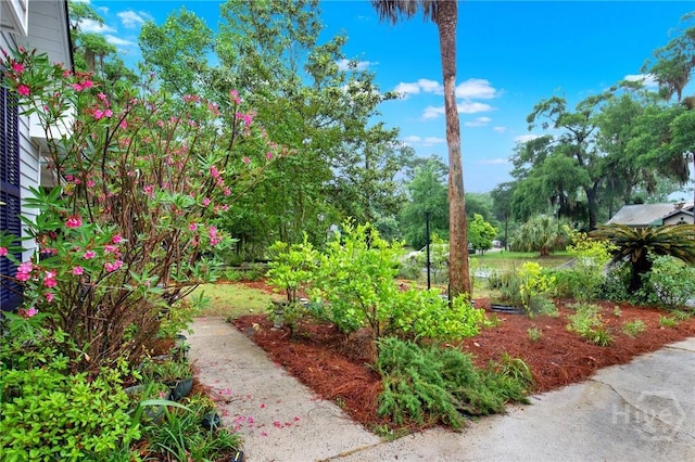 508 Pointe S Dr, Savannah, GA 31410 - view of yard