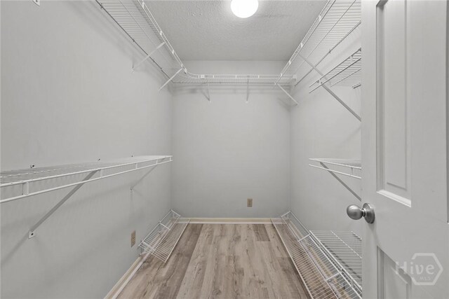 2402 Easy St, Savannah, GA 31406 - walk in closet with light wood-style flooring