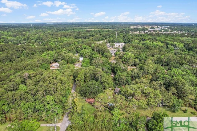 156 Lansing St, Brunswick, GA 31525 - bird's eye view of a forest