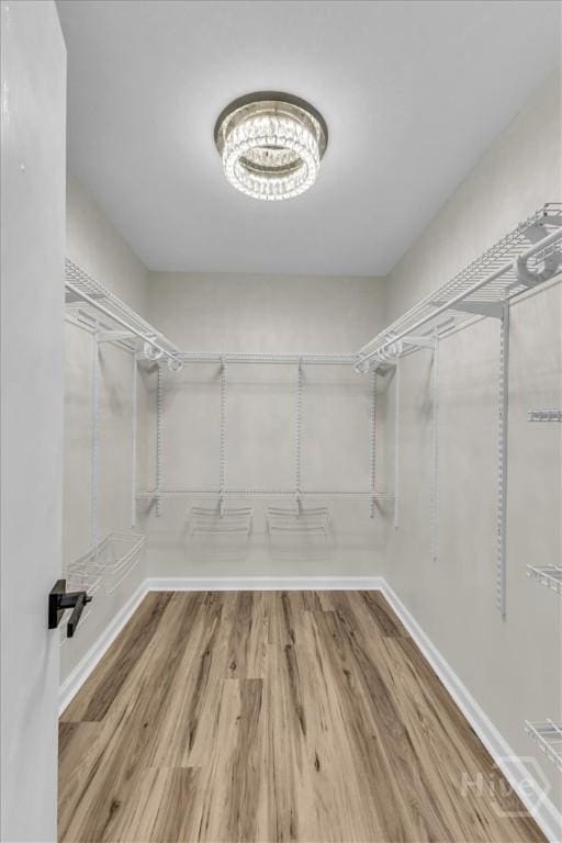 spacious closet featuring wood finished floors