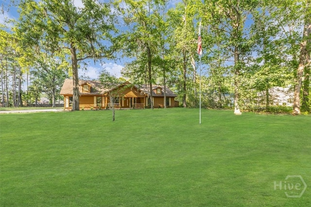view of grassy yard