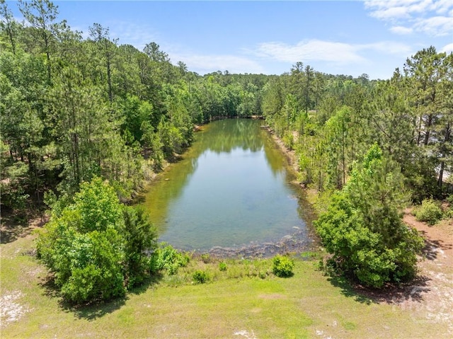 784 Ebenezer Rd, Rincon, GA 31326 - water view featuring a forest
