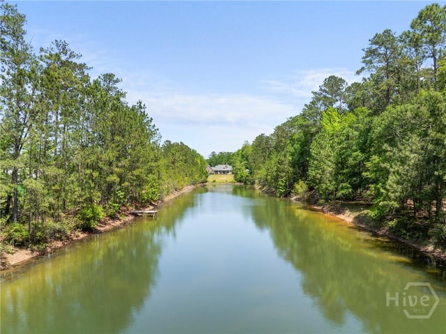 784 Ebenezer Rd, Rincon, GA 31326 - water view featuring a forest