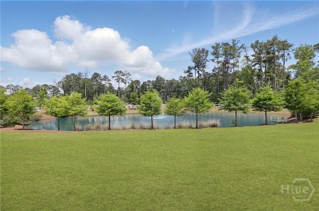 203 Merganser Dr, Pooler, GA 31322 - view of yard with a water view and view of scattered trees