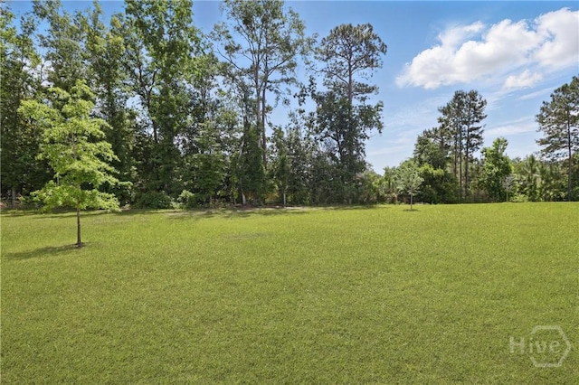 203 Merganser Dr, Pooler, GA 31322 - view of grassy yard