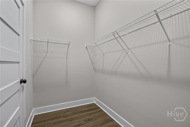 17 Nelson St, Savannah, GA 31415 - walk in closet with dark wood-type flooring