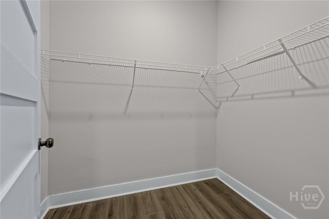17 Nelson St, Savannah, GA 31415 - spacious closet with dark wood-style flooring