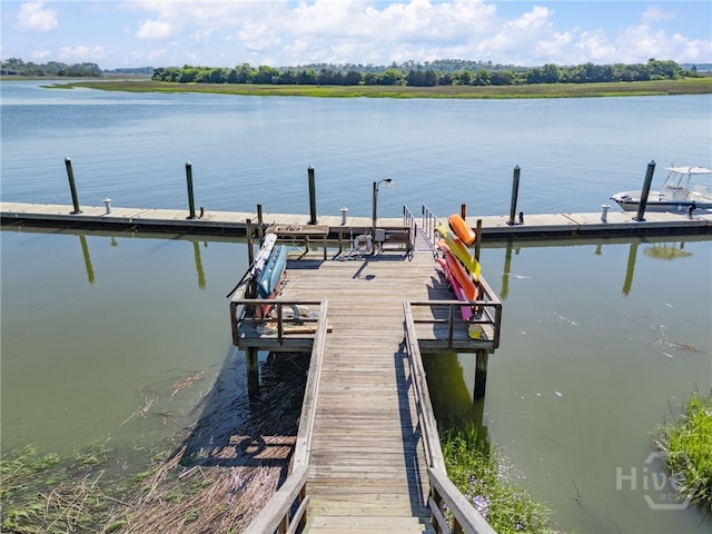 3005 River Dr Unit 209B, Savannah, GA 31404 - dock featuring a water view