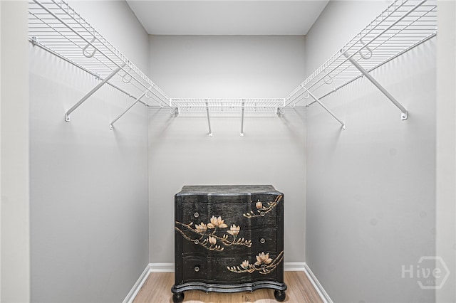 3005 River Dr Unit 209B, Savannah, GA 31404 - walk in closet with wood finished floors