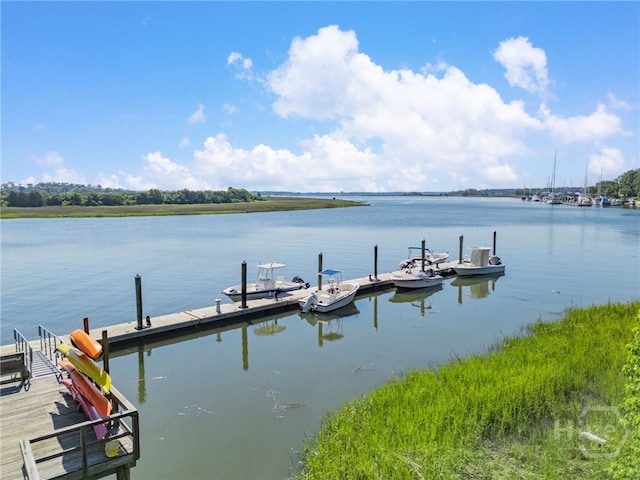 3005 River Dr Unit 209B, Savannah, GA 31404 - dock featuring a water view