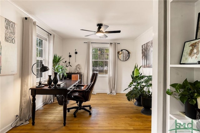 office featuring plenty of natural light, crown molding, a ceiling fan, light wood-style floors, and baseboards