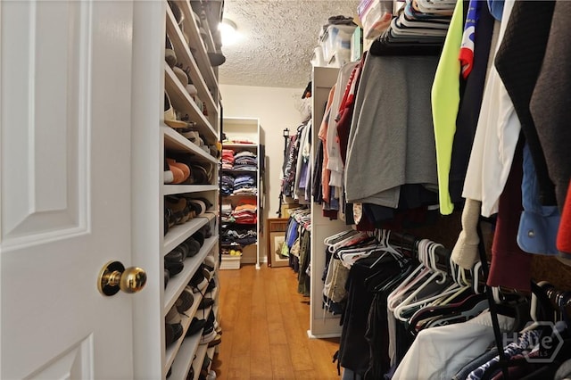 6 Ramsgate Rd, Savannah, GA 31419 - walk in closet with light wood-style floors