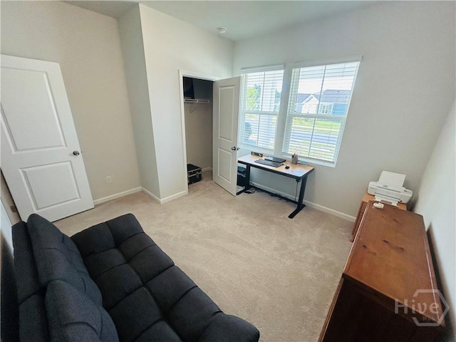 55 Cambium Cir, Richmond Hill, GA 31324 - photo 3