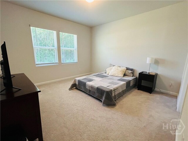 55 Cambium Cir, Richmond Hill, GA 31324 - photo 14