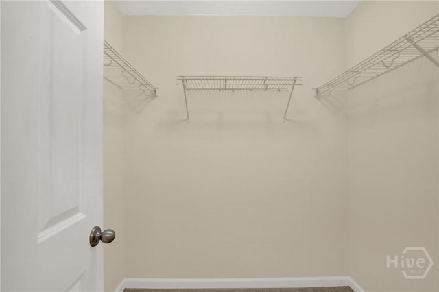 450 Canyon Oak Loop, Richmond Hill, GA 31324 - view of spacious closet