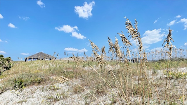 18 Silver Ave Unit 1, Tybee Island, GA 31328 - view of undeveloped land