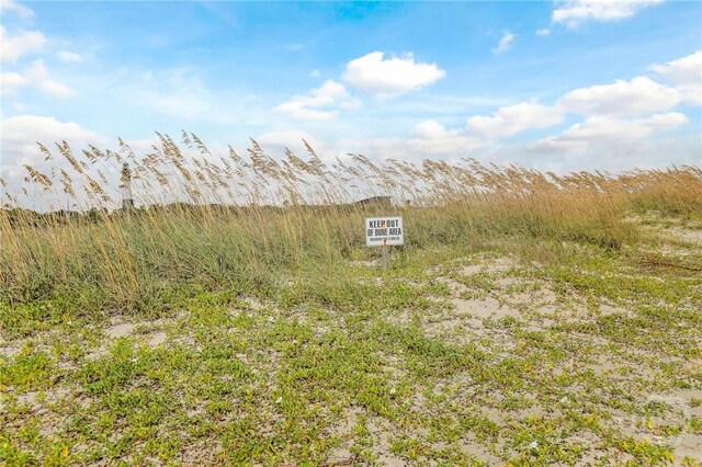 18 Silver Ave Unit 1, Tybee Island, GA 31328 - view of yard