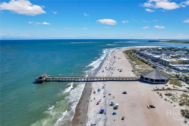 18 Silver Ave Unit 1, Tybee Island, GA 31328 - bird's eye view of expansive coastline
