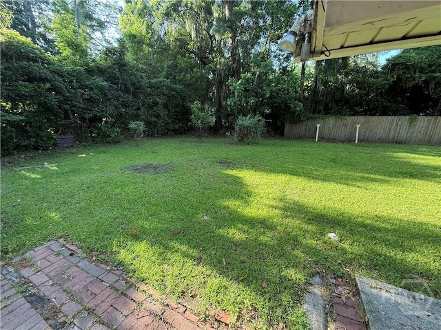 view of yard