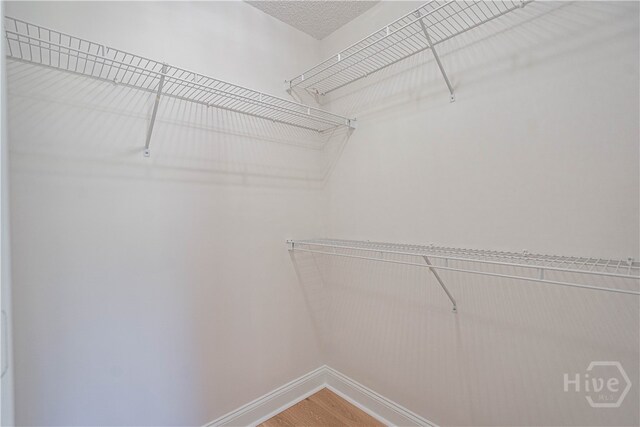 110 Pembroke Pl, Pembroke, GA 31321 - spacious closet with wood finished floors