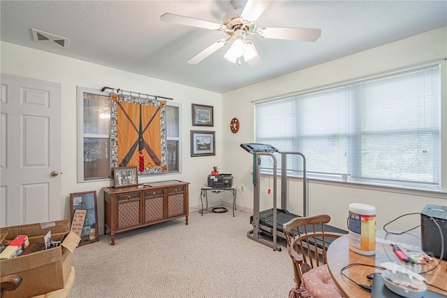 417 Willowpeg Way, Rincon, GA 31326 - exercise area featuring carpet floors, ceiling fan, and a textured ceiling