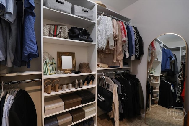 447 Walthour Dr, Rincon, GA 31326 - spacious closet with carpet flooring