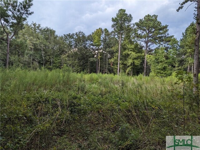 4515 Harper Rd, Metter, GA 30439 - photo 3