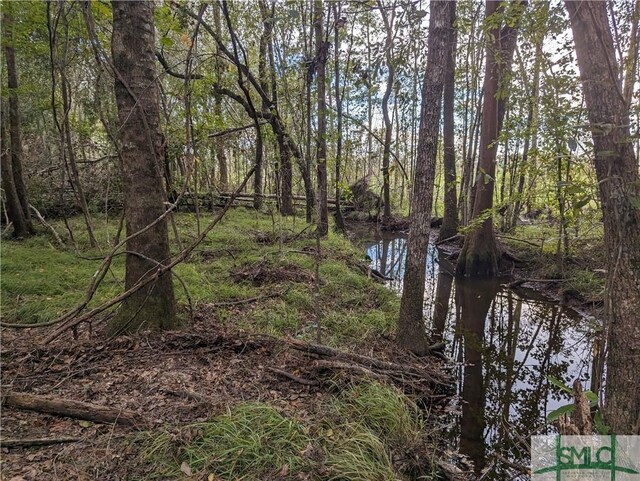 4515 Harper Rd, Metter, GA 30439 - photo 4