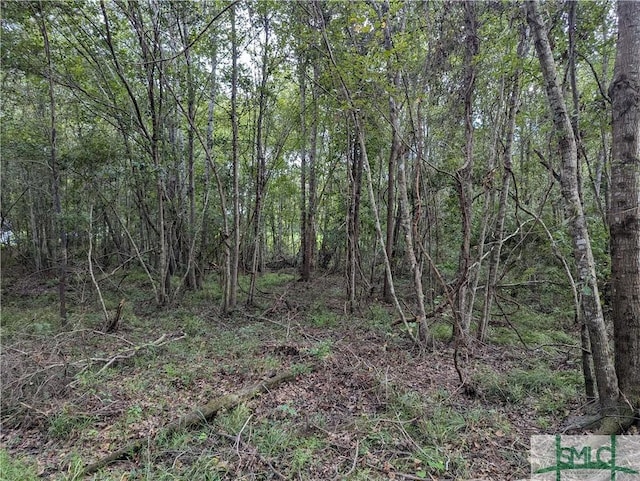 4515 Harper Rd, Metter, GA 30439 - photo 6
