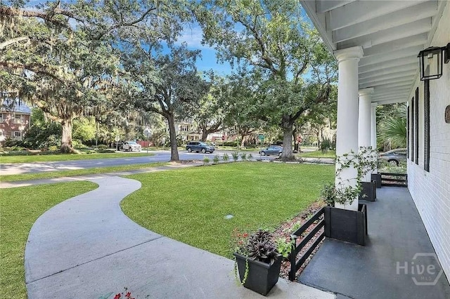 3600 Abercorn St, Savannah, GA 31405 - photo 2
