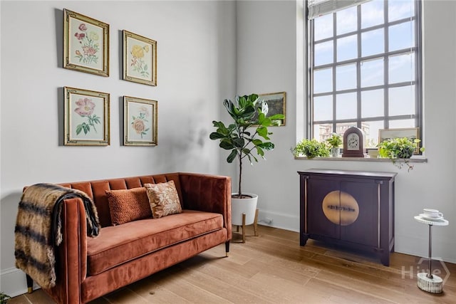 321 Abercorn St Unit 404, Savannah, GA 31401 - living area with baseboards, wood finished floors, and plenty of natural light