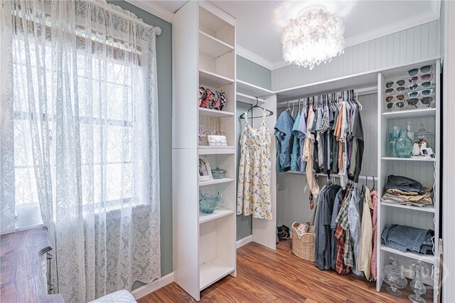 116 Deerfield Dr, Springfield, GA 31329 - walk in closet featuring wood finished floors and a chandelier