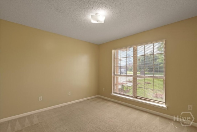 1919 Bluestone Loop, Hinesville, GA 31313 - empty room featuring carpet, baseboards, and a textured ceiling