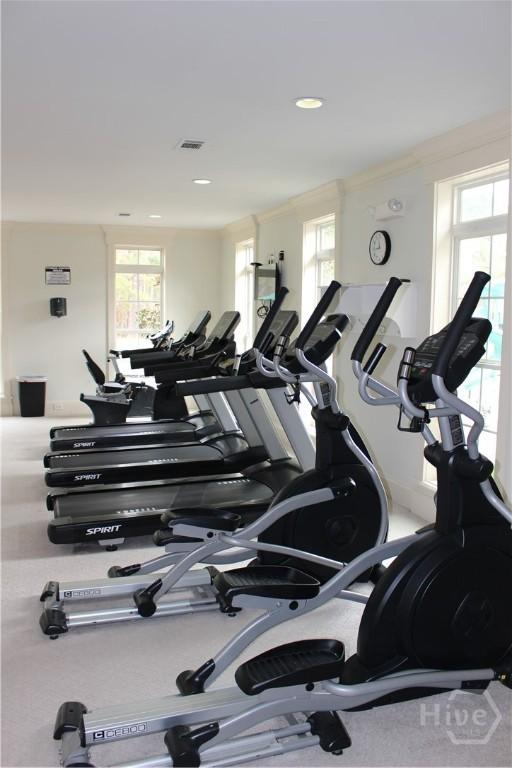 135 Como Dr, Pooler, GA 31322 - gym featuring plenty of natural light and recessed lighting