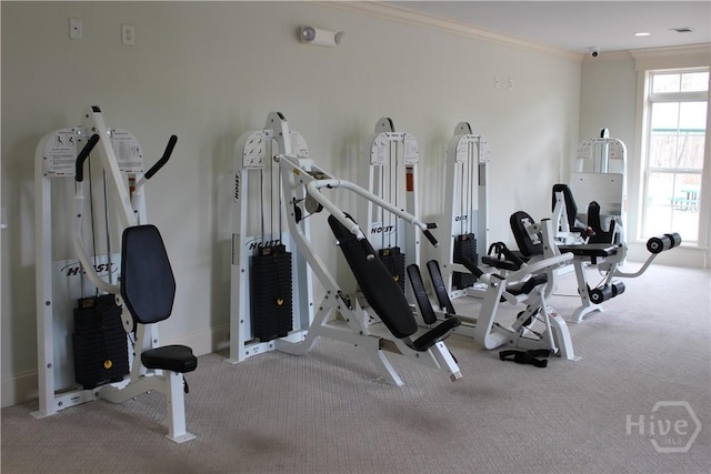135 Como Dr, Pooler, GA 31322 - workout area featuring carpet floors, crown molding, and baseboards
