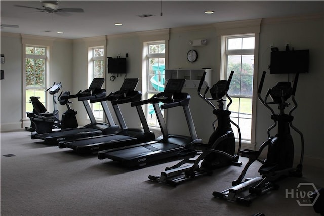 135 Como Dr, Pooler, GA 31322 - workout area featuring ornamental molding, healthy amount of natural light, baseboards, a ceiling fan, and recessed lighting