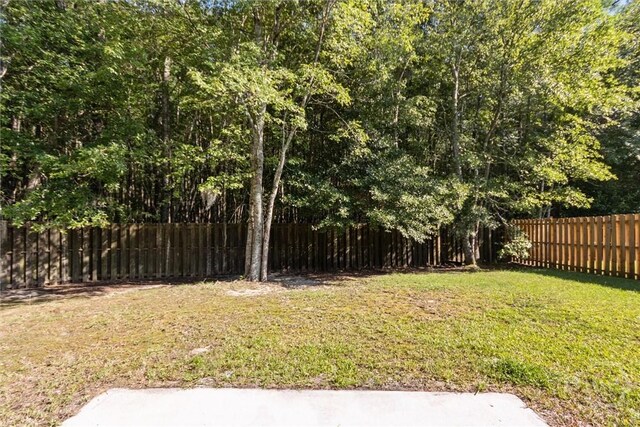 133 Spring Lakes Dr, Savannah, GA 31407 - view of yard