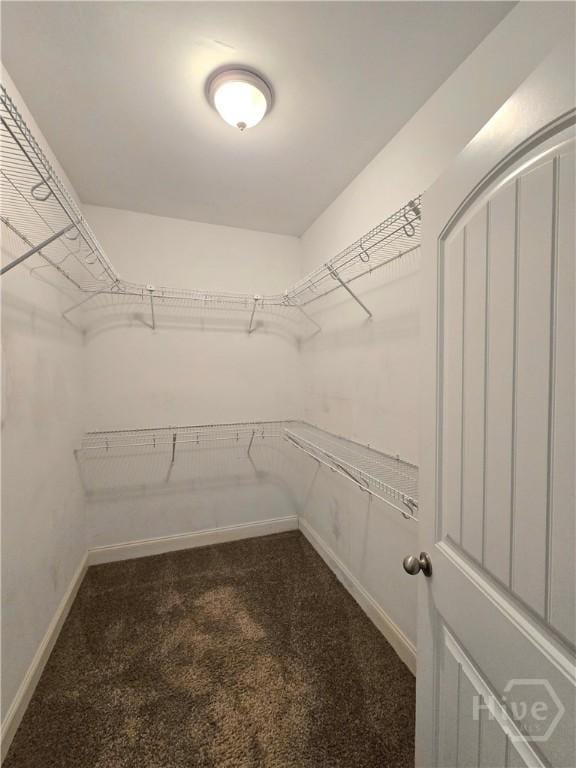 6 Sagefield Dr, Ellabell, GA 31308 - spacious closet featuring carpet floors