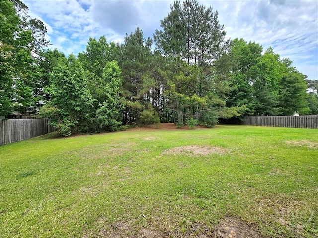 6 Sagefield Dr, Ellabell, GA 31308 - view of yard