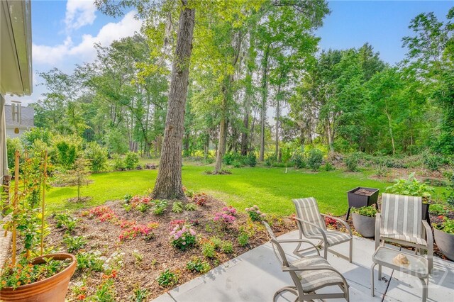 124 Kent Trl, Pooler, GA 31322 - view of green lawn featuring a patio area