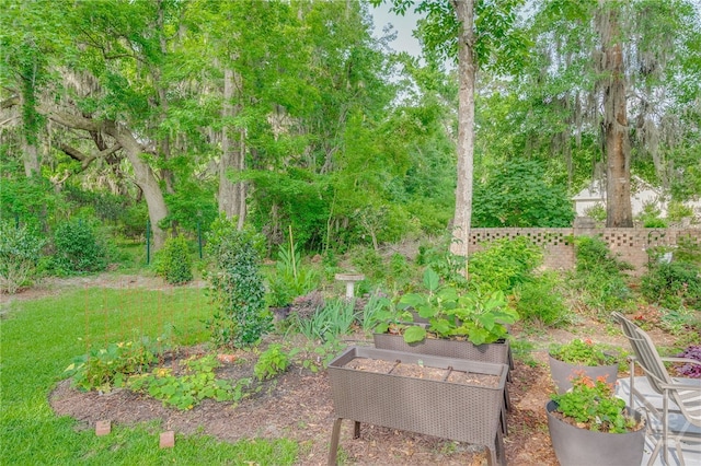124 Kent Trl, Pooler, GA 31322 - view of yard with a garden