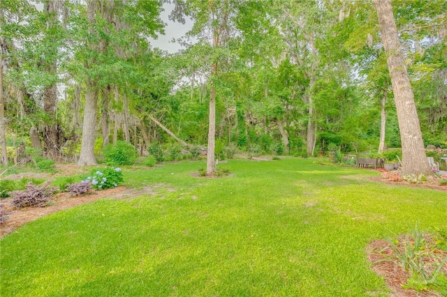 124 Kent Trl, Pooler, GA 31322 - view of grassy yard